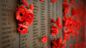 Poppy Wall