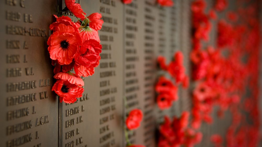 Memorial Day Poppy Wall, Yankee Air Museum and Rebecca Grant