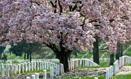 Memorial Day 2021 – Arlington National Cemetery