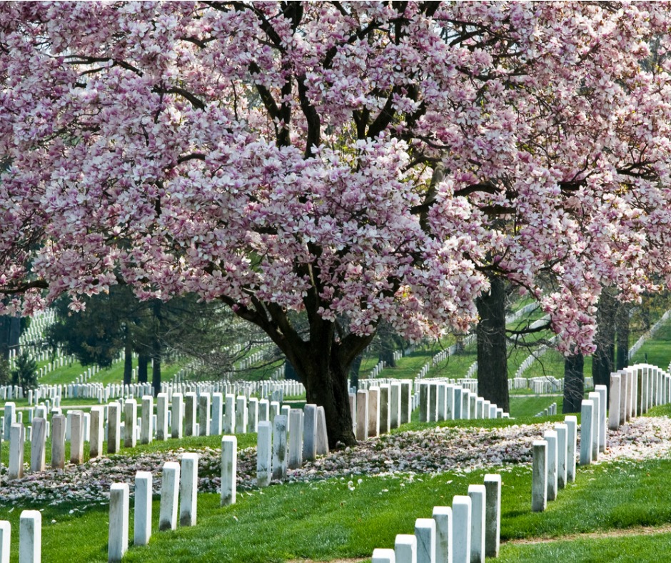 arlington-national-cemetary